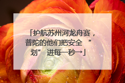护航苏州河龙舟赛，普陀的他们把安全 “划” 进每一秒→