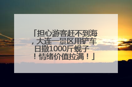 担心游客赶不到海，大连一景区用铲车日撒1000斤蚬子！情绪价值拉满！