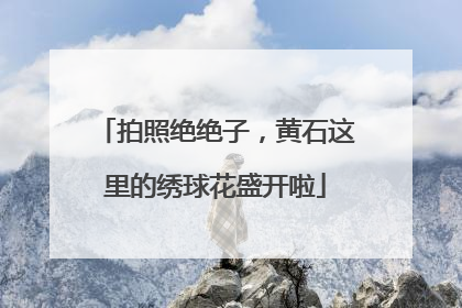拍照绝绝子，黄石这里的绣球花盛开啦