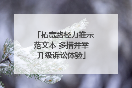 拓宽路径力推示范文本 多措并举升级诉讼体验