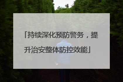 持续深化预防警务，提升治安整体防控效能