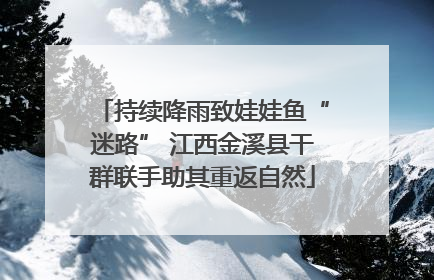 持续降雨致娃娃鱼“迷路” 江西金溪县干群联手助其重返自然