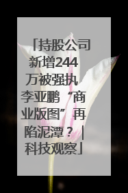 持股公司新增244万被强执 李亚鹏“商业版图”再陷泥潭？｜科技观察
