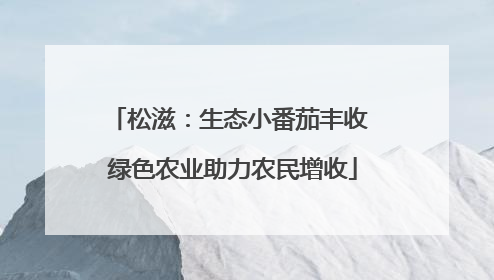 松滋：生态小番茄丰收 绿色农业助力农民增收
