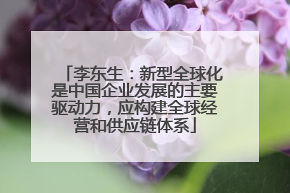 李东生：新型全球化是中国企业发展的主要驱动力，应构建全球经营和供应链体系