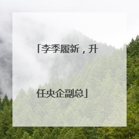李季履新，升任央企副总