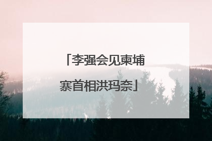 李强会见柬埔寨首相洪玛奈