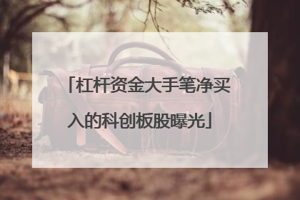 杠杆资金大手笔净买入的科创板股曝光