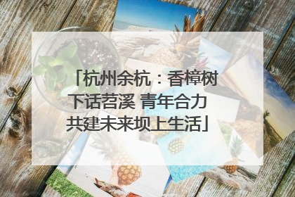 杭州余杭：香樟树下话苕溪 青年合力共建未来坝上生活