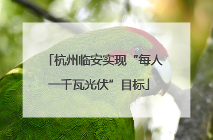 杭州临安实现“每人一千瓦光伏”目标