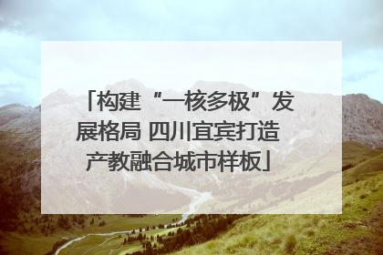 构建“一核多极”发展格局 四川宜宾打造产教融合城市样板