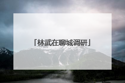 林武在聊城调研