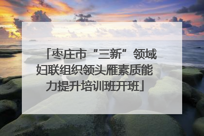 枣庄市“三新”领域妇联组织领头雁素质能力提升培训班开班
