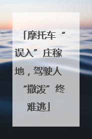 摩托车“误入”庄稼地，驾驶人“撒泼”终难逃