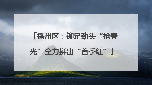 播州区：铆足劲头“抢春光”全力拼出“首季红”