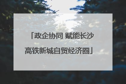 政企协同 赋能长沙高铁新城自贸经济圈