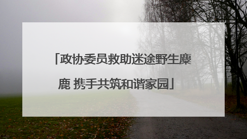 政协委员救助迷途野生麋鹿 携手共筑和谐家园