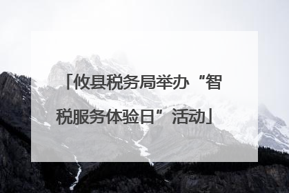 攸县税务局举办“智税服务体验日”活动