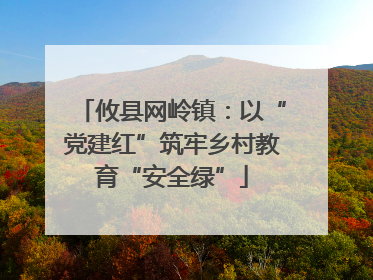 攸县网岭镇：以“党建红”筑牢乡村教育“安全绿”