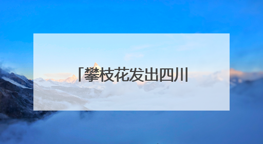 攀枝花发出四川首张“户籍人口直系亲属关系谱”