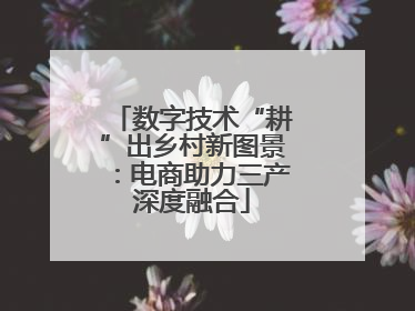 数字技术“耕”出乡村新图景：电商助力三产深度融合