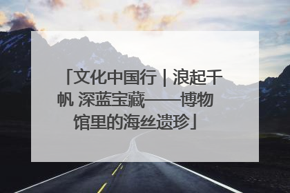 文化中国行｜浪起千帆 深蓝宝藏——博物馆里的海丝遗珍