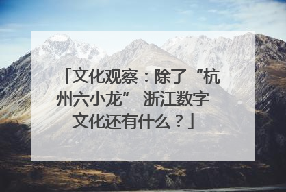文化观察：除了“杭州六小龙” 浙江数字文化还有什么？