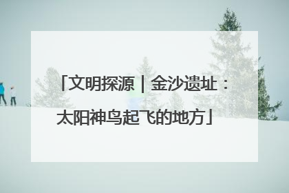 文明探源｜金沙遗址：太阳神鸟起飞的地方
