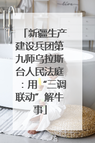 新疆生产建设兵团第九师乌拉斯台人民法庭：用“三调联动”解牛事