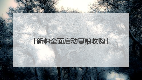 新疆全面启动夏粮收购