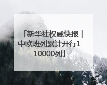 新华社权威快报｜中欧班列累计开行110000列