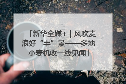 新华全媒+｜风吹麦浪好“丰”景——多地小麦机收一线见闻
