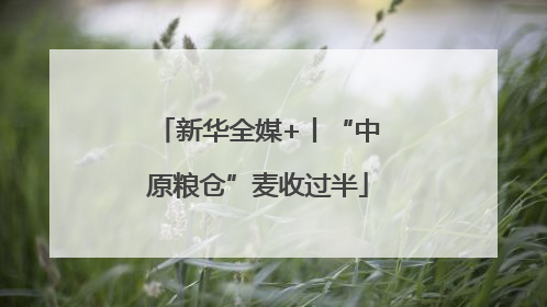 新华全媒+丨“中原粮仓”麦收过半