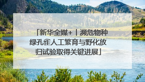 新华全媒+丨濒危物种绿孔雀人工繁育与野化放归试验取得关键进展