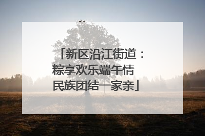 新区沿江街道：粽享欢乐端午情 民族团结一家亲
