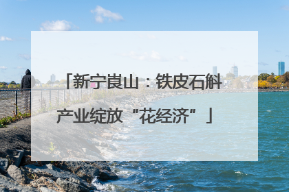 新宁崀山：铁皮石斛产业绽放“花经济”