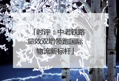 时评：中老铁路量效双增领跑国际物流新标杆