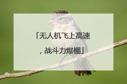 无人机飞上高速，战斗力爆棚