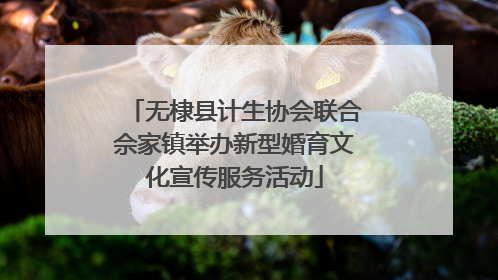 无棣县计生协会联合佘家镇举办新型婚育文化宣传服务活动