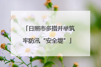 日照市多措并举筑牢防汛“安全堤”