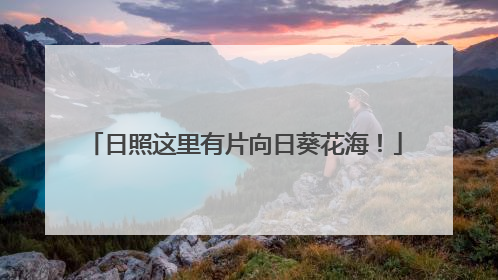 日照这里有片向日葵花海！