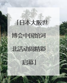 日本大阪世博会中国馆河北活动周精彩启幕