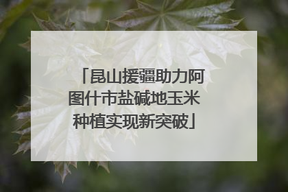 昆山援疆助力阿图什市盐碱地玉米种植实现新突破