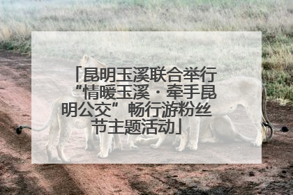 昆明玉溪联合举行“情暖玉溪・牵手昆明公交”畅行游粉丝节主题活动