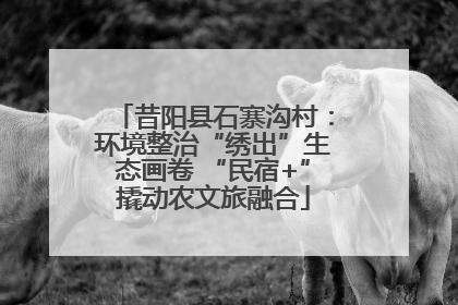 昔阳县石寨沟村：环境整治“绣出”生态画卷 “民宿+”撬动农文旅融合