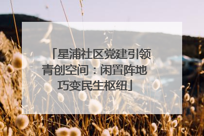 星浦社区党建引领青创空间：闲置阵地巧变民生枢纽