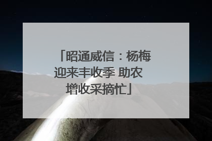 昭通威信：杨梅迎来丰收季 助农增收采摘忙