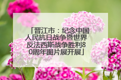 晋江市：纪念中国人民抗日战争暨世界反法西斯战争胜利80周年图片展开展