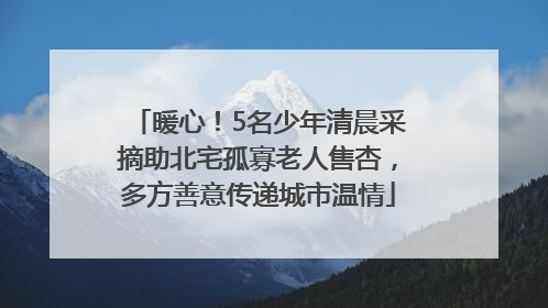 暖心！5名少年清晨采摘助北宅孤寡老人售杏，多方善意传递城市温情