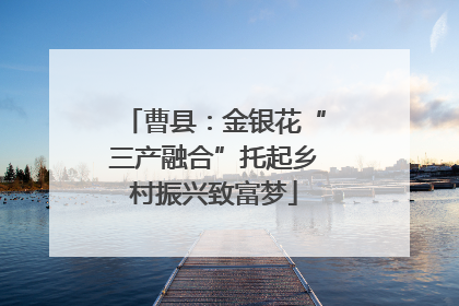 曹县：金银花“三产融合”托起乡村振兴致富梦